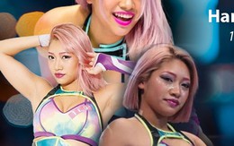 Hana Kimura: Đoá hồng thép sớm lụi tàn vì “miệng đời” cay độc