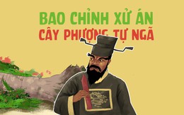 Bao Chỉnh xử án: 'Cây Phượng tự ngã'