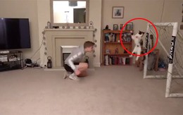 Chú mèo bắt bóng siêu như thủ môn Manuel Neuer