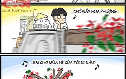 Cherry vỡ mộng với chiếc giỏ xe khổng lồ