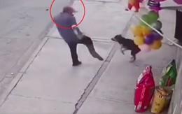 Người đàn ông ngã chổng vó vì đá chó