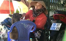 Chú chó được bà chủ đút cơm cho ăn như em bé