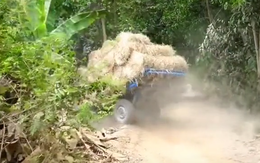 Cười đau bụng với xe máy cày đang đi thẳng thì tự bẻ lái lao xuống hố