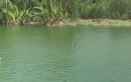 Nam thanh niên 'thách đấu' trên phao nhún cùng đối thủ bự gấp 3 lần mình và cái kết 'chìm nghỉm'