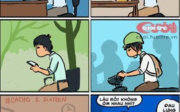 Liệu chúng ta có tiến hóa thành... loài tôm?