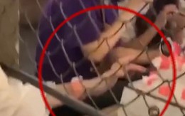 Gái xinh bị CĐM bình luận 'cái duyên trượt xuống... mương' khi tỉnh rụi 'hưởng' trước bánh kem của người không quen...