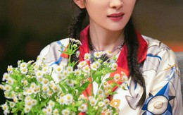 Vì sao Dương Mịch không bao giờ cho bạn mượn tiền