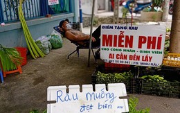 Bán rau muống 'giá 5 tỉ' cà khịa 'lan đột biến' khiến dân mạng cười bò