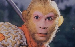 Đạo diễn 'Tây du ký': 10 năm không xem phim, cứ thấy là chuyển kênh