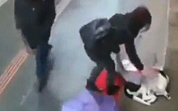 Cô gái tặng khăn cho chó hoang run rẩy dưới mưa