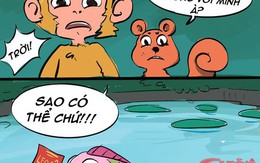 Cà khịa loài cá không biết leo cây, khỉ và sóc suýt ngất khi biết sự thật