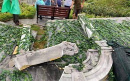 Khu vườn Bạch Trà Viên sang chảnh, trị giá hơn 2 tỉ của phim 'Gái già lắm chiêu V' tan hoang vì bão số 5