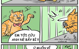 Chuyện tình Cọp - Mèo và quan niệm về tự do của chúa sơn lâm