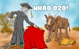 Đề tài nghiên cứu hóa thạch bò tót