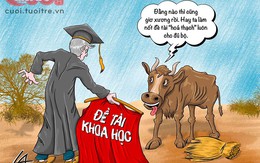 Cô gái Sài Gòn bóc phốt Sở Thú theo phong cách 'tức á' khiến dân mạng cười bò