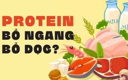 Xơi nhiều protein: bổ ngang, bổ dọc?
