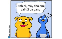 Ăn khế trả quá trời vàng, chim thần bị phá sản