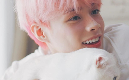 Hanbin tổ chức fan meeting sau khi bị loại khỏi I-Land