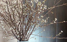 Lưu Gia Linh thưởng rượu bên bình hoa cổ trị giá gần 160 tỉ đồng