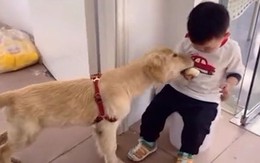 Chú chó bị cướp miếng ăn vì trước đó dám giật đồ của cậu bé