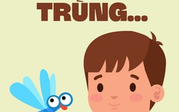 Mẹo lấy côn trùng ra khỏi  “phương tiện nghe, nhìn”