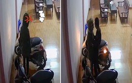 Vợ đi làm về giận dỗi, chồng trong nhà chạy vội ra ôm xin lỗi