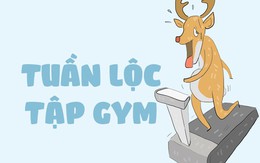 Tuần lộc thất nghiệp phải giảm cân