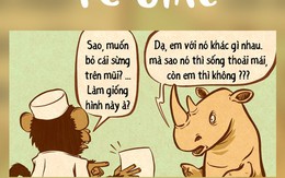 Tê giác quyết định phẫu thuật thẩm mỹ để cứu giống nòi