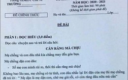 Đề kiểm tra Ngữ Văn ở Gia Lai có nội dung nhạy cảm:Dân mạng hú hồn!