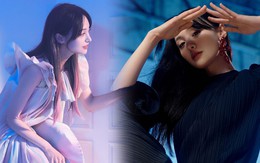 Động thái đầu tiên của Trịnh Sảng trước tin đồn nhờ mang thai hộ