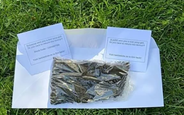 Yêu cho roi cho vọt, cho cả… phân bò