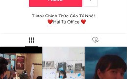 Hải Tú 'pha ke' xuất hiện trên TikTok: Netizen nháo nhào follow
