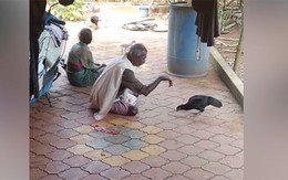 Tuyệt chiêu tay không bắt gà nhanh như chớp