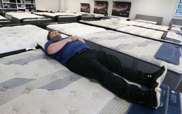 Việc nhẹ lương cao: Nhận 3000 USD để ngủ nệm