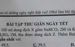 Muôn kiểu slogan bài tập về nhà dịp Tết khiến dân mạng thích thú