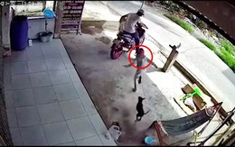 'Con chó rất dễ thương nhưng em lại sợ khi nó được thả'