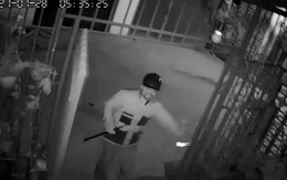 Cẩu tặc phá cửa cổng, lao vào sân bắt trộm chó