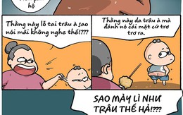 Cầu được ước thấy thằng cháu 'thần trâu'