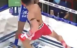 Võ sĩ tung cú đá 'ngàn cân' hạ knock out đối thủ