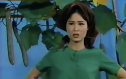 Nữ danh hài Việt 'chửi hay hơn hát' nhạc trữ tình là ai?