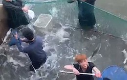 Nhóm thanh niên ‘đánh vật’ với đàn cá vượt vũ môn