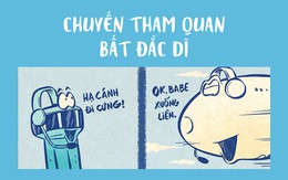 Sân bay Cam Ranh bị chó xâm nhập, máy bay phải lòng vòng trên trời