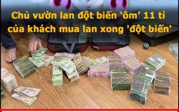 Vua Còm 15/4: Chủ vườn lan đột biến ôm 11 tỉ rồi... 'đột biến'