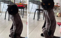 Ảnh vui 18/4: 'Ghế sofa không tựa' chiếm spotlight 'công viên nước'