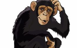 Bài toán gây tranh cãi: '230 - 220 x 0,5 = 5!'