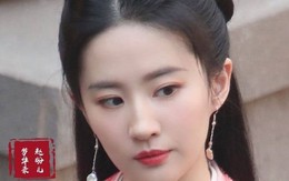 Lưu Diệc Phi tạm hoãn quay 'Mộng hoa lục' để trị thương