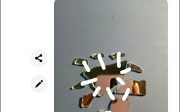 Ảnh vui 24/4: Đơn xin vợ đi chơi hai ngày nghỉ lễ 30-4 và 1-5