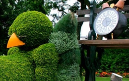 Ảnh vui 14/5: Cuối tuần rồi, 'chằm Zn' lên!