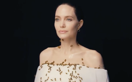 Angelina Jolie chụp ảnh với ong