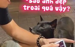 Chú chó đứng thẩn thờ nhìn trai đẹp đắm đuối